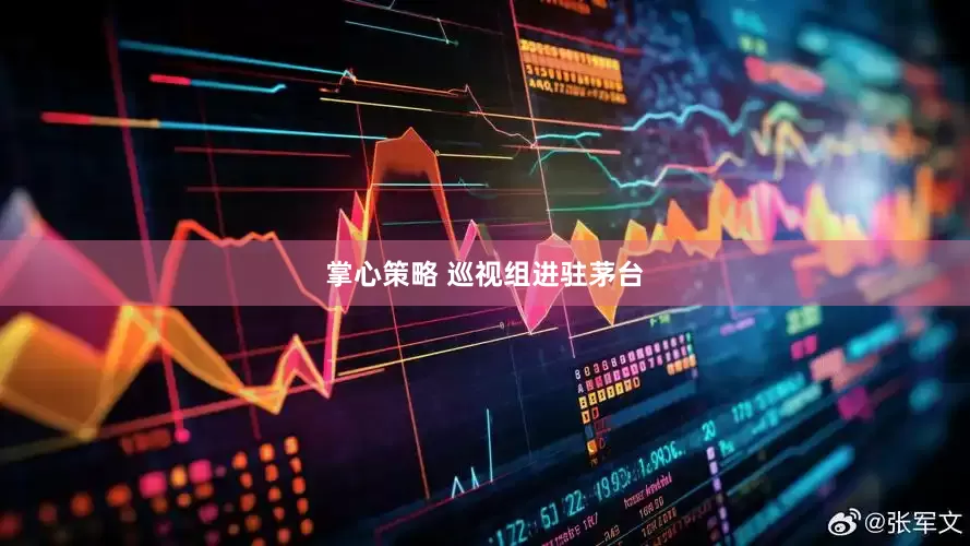 掌心策略 巡视组进驻茅台