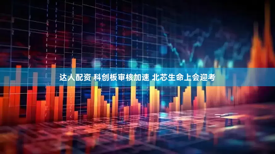 达人配资 科创板审核加速 北芯生命上会迎考