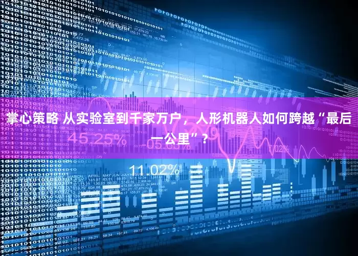掌心策略 从实验室到千家万户，人形机器人如何跨越“最后一公里”？