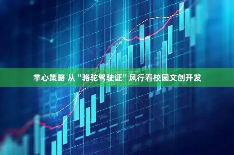 掌心策略 从“骆驼驾驶证”风行看校园文创开发