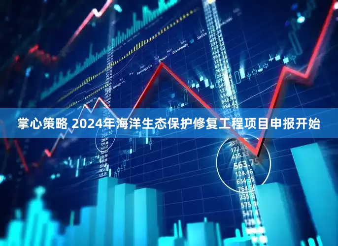 掌心策略 2024年海洋生态保护修复工程项目申报开始